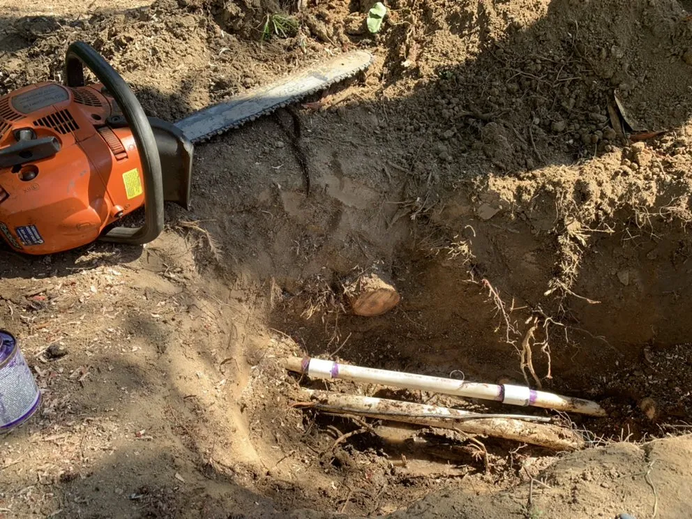 Affordable residential landscaping for outdoor upgrades in Exeter, CA by Swiftlawns