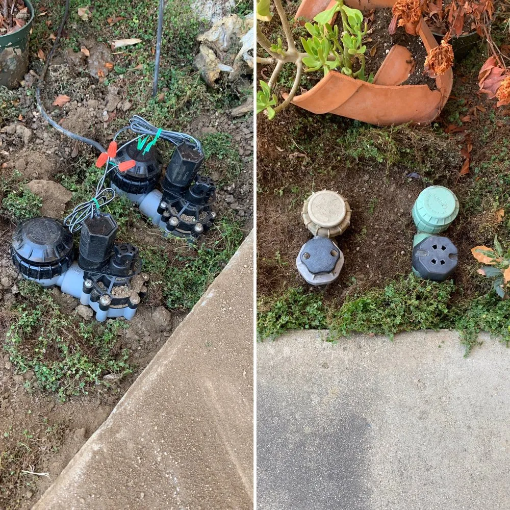 Local residential landscaping for year-round maintenance in Exeter, CA by Swiftlawns