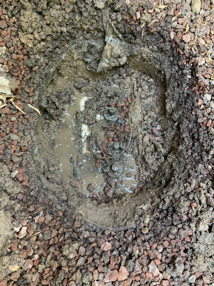 Local yard maintenance experts serving Exeter, CA - Swiftlawns