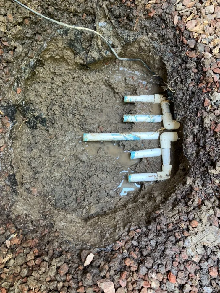 Trusted yard cleanup service in Exeter, CA by Swiftlawns