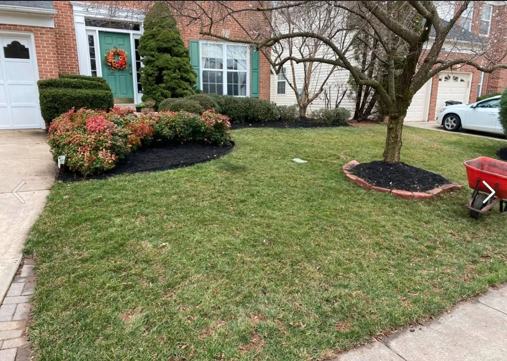 Reliable yard cleanup service for residential properties across Damascus, MD - Swift’s Automotive & Multi Services