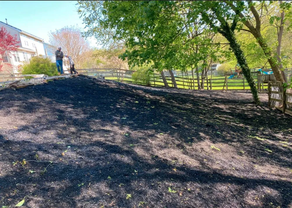 Expert yard maintenance for homes across Damascus, MD - Swift’s Automotive & Multi Services