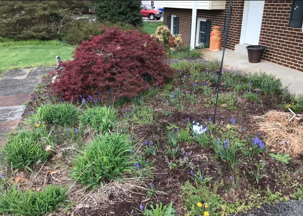 Trusted residential landscaping in Damascus, MD - Swift’s Automotive & Multi Services