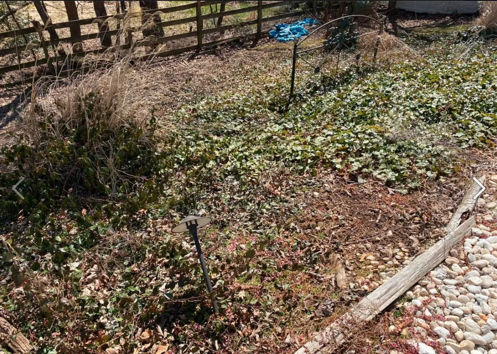 Custom yard maintenance for homes across Damascus, MD - Swift’s Automotive & Multi Services