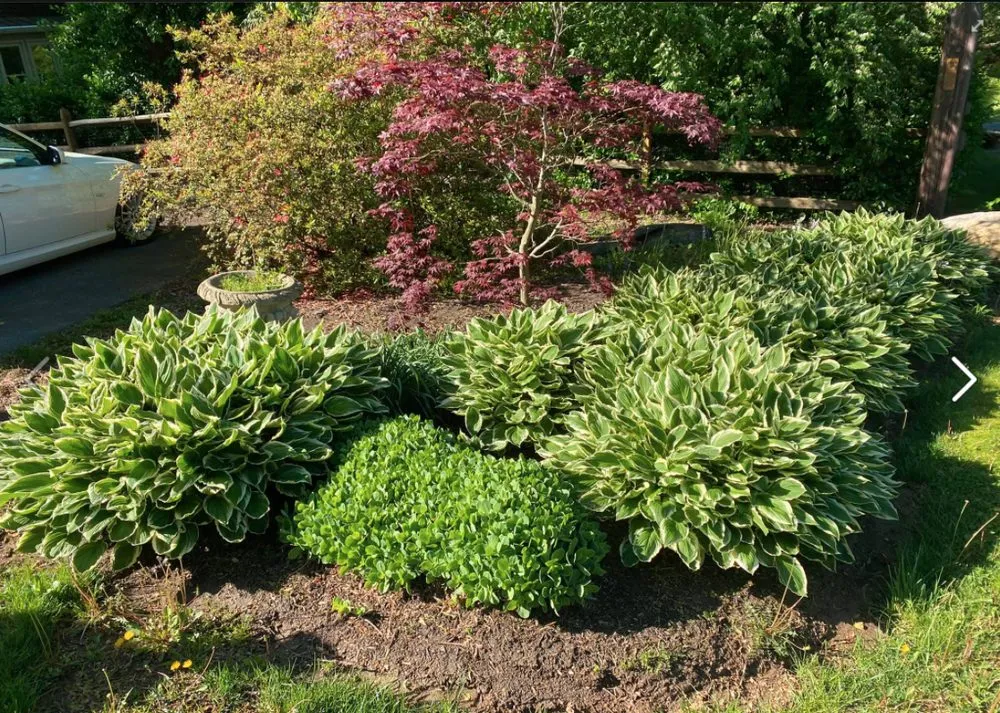 Reliable outdoor landscaping in Damascus, MD by Swift’s Automotive & Multi Services