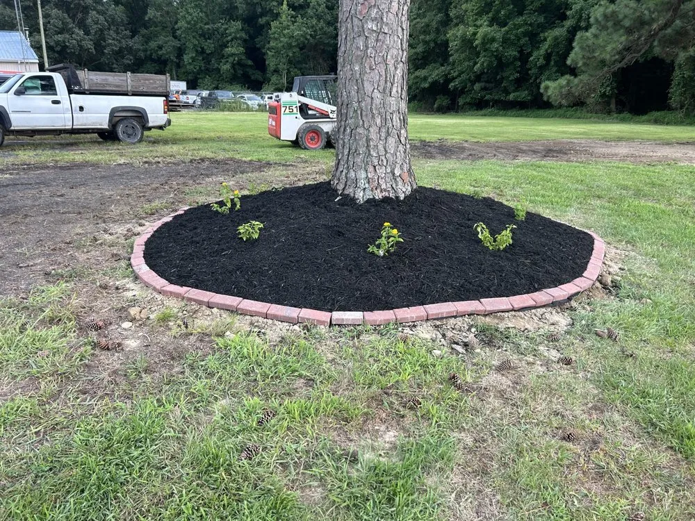 Local yard maintenance for beautiful yards in Crisfield, MD by Swifts Lawn Care