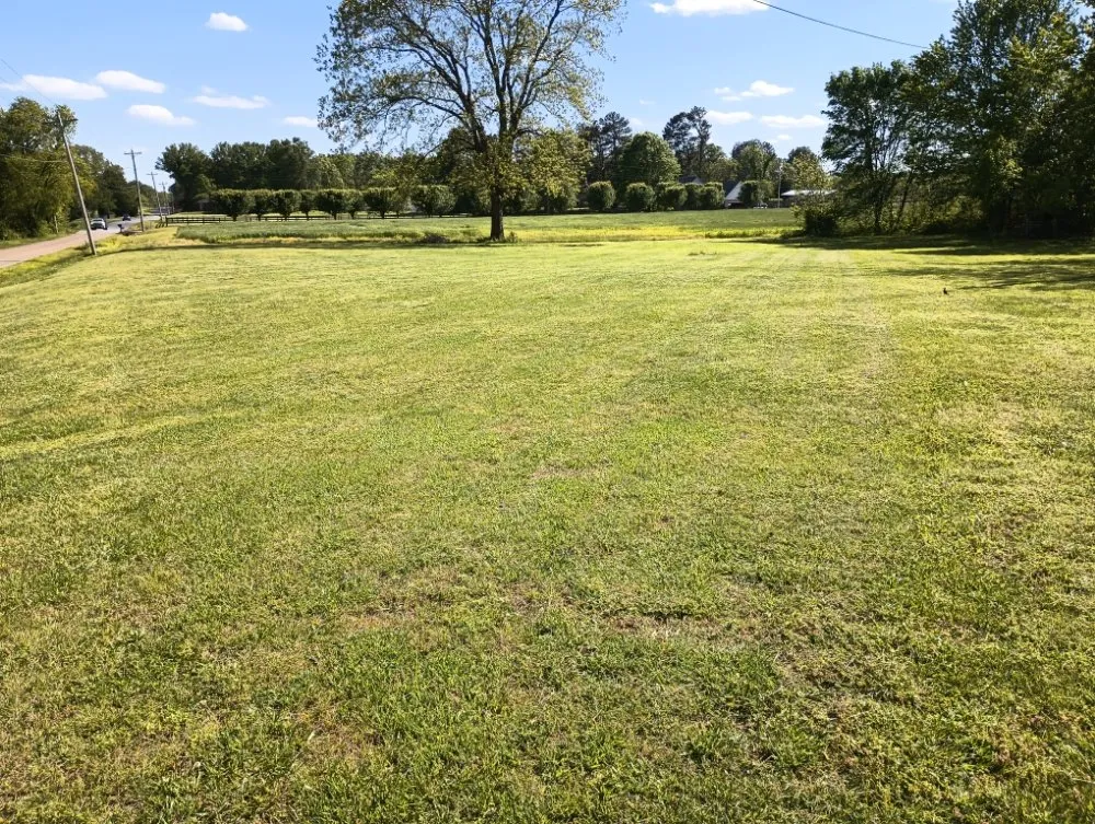 Custom garden landscaping in Bells, TN - Swing-Blade Lawn Care & Stump Grinding