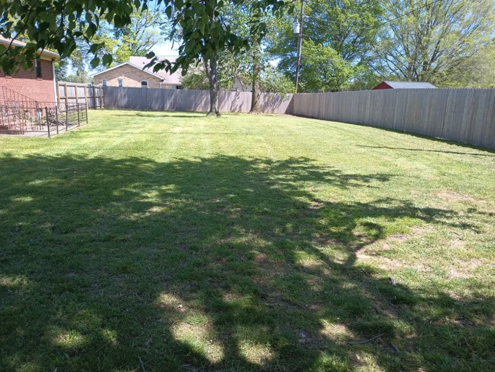 Affordable landscaping services in Bells, TN - Swing-Blade Lawn Care & Stump Grinding