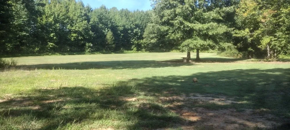 Expert residential landscaping in Bells, TN by Swing-Blade Lawn Care & Stump Grinding