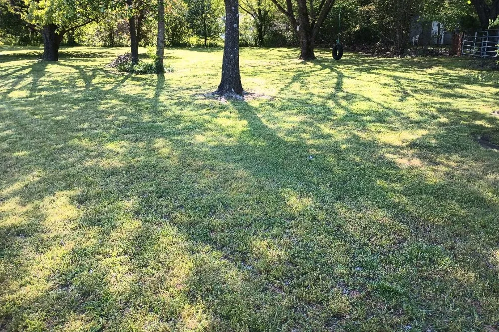 Top-rated residential landscaping for homes across Bells, TN - Swing-Blade Lawn Care & Stump Grinding