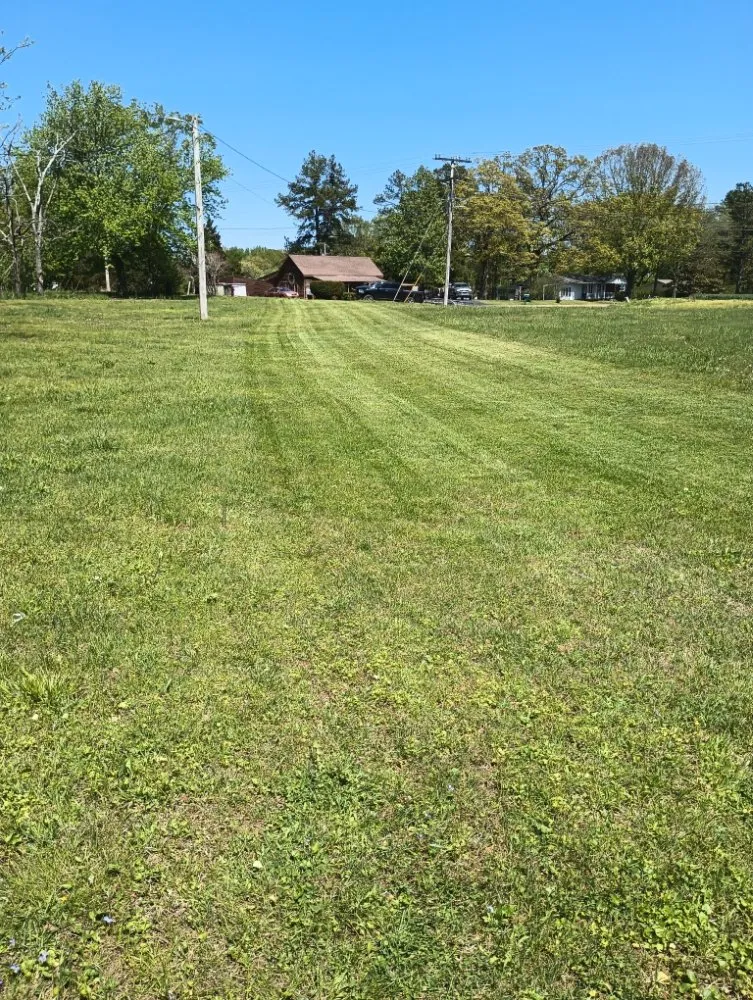 Local yard maintenance for outdoor upgrades in Bells, TN by Swing-Blade Lawn Care & Stump Grinding
