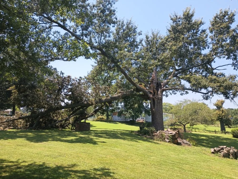 Expert residential landscaping for outdoor upgrades across Bells, TN - Swing-Blade Lawn Care & Stump Grinding