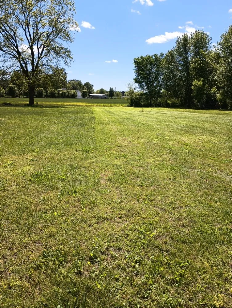 Expert lawn mowing service for beautiful yards across Bells, TN - Swing-Blade Lawn Care & Stump Grinding