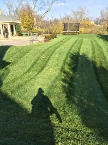 Reliable lawn care service experts serving Cincinnati, OH - Swisher Landscaping