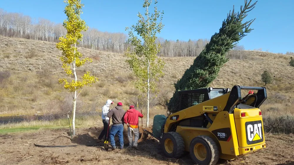 Expert landscaping services for homes in Ashton, ID by Swiss Precision Enterprises