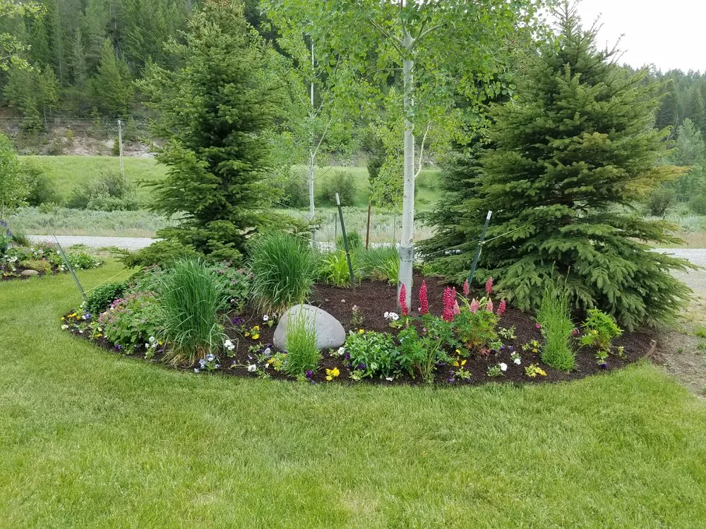 Trusted yard cleanup service in Ashton, ID by Swiss Precision Enterprises