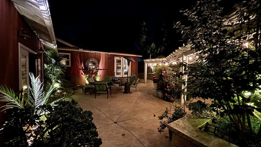 Professional yard cleanup service for residential properties in Vista, CA by SwissHandy