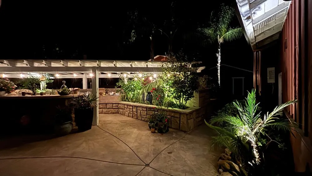 Professional yard cleanup service in Vista, CA by SwissHandy