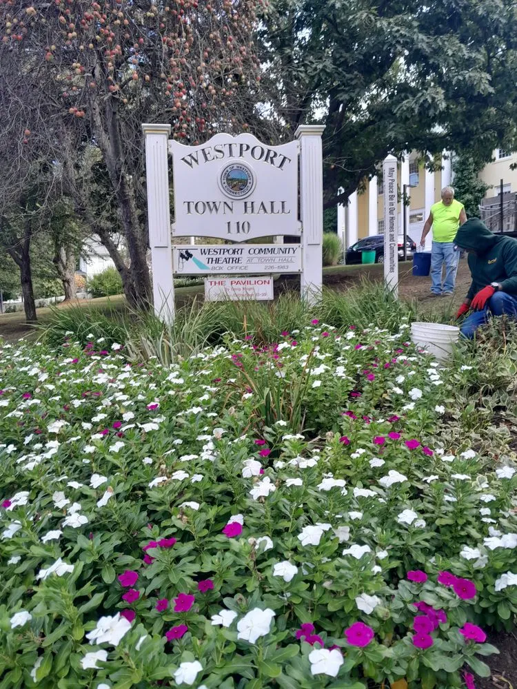 Affordable yard cleanup service experts serving Westport, CT - Switter's landscaping westport