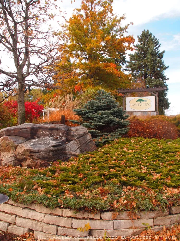 Reliable landscaping services in Northfield, MN by Switzer's Nursery & Landscaping, Inc