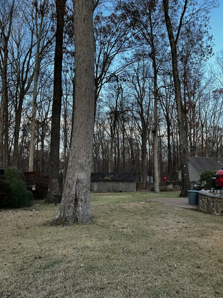 Affordable yard cleanup service experts serving Arlington, TN - Swoco Landscaping