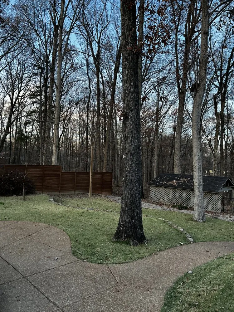 Reliable lawn care service with custom design in Arlington, TN by Swoco Landscaping