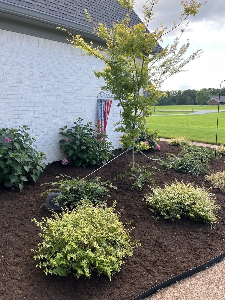 Reliable landscape installation for outdoor upgrades in Arlington, TN by Swoco Landscaping