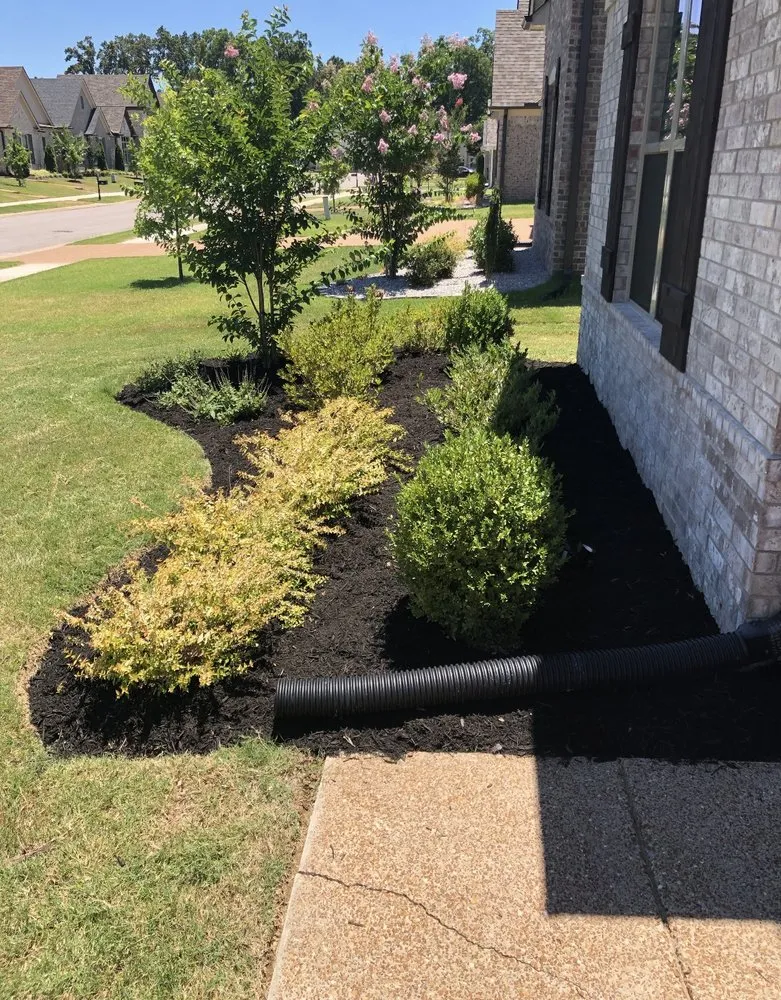 Professional lawn care service experts serving Arlington, TN - Swoco Landscaping