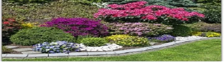 Custom landscaping services in Etters, PA - Swope's Lawn Service