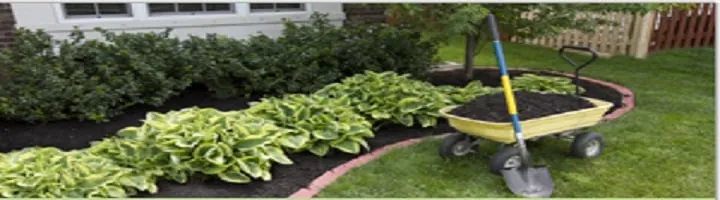 Trusted residential landscaping experts serving Etters, PA - Swope's Lawn Service