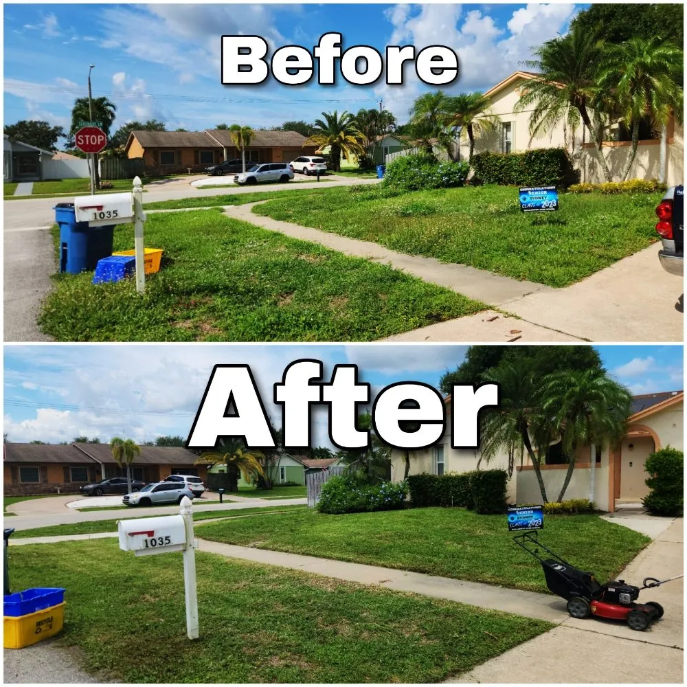 Professional yard cleanup service in Lake Worth, FL - Swords Of Landscaping