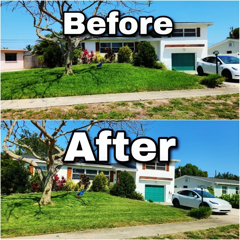 Trusted landscape installation for homes across Lake Worth, FL - Swords Of Landscaping