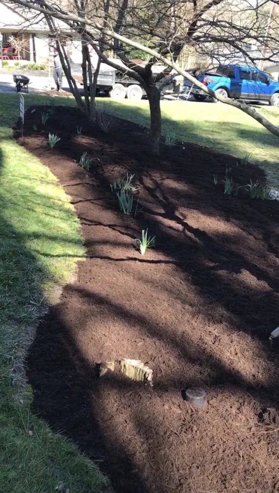 Custom residential landscaping near you in Durham, NC by Swurvacutz Grass Cutting