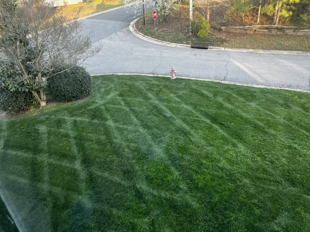 Trusted yard maintenance for year-round maintenance in Durham, NC by Swurvacutz Grass Cutting