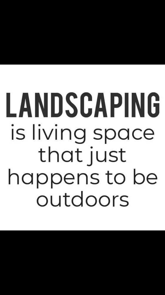 Top-rated yard cleanup service in Temecula, CA - Swydens Professional Lawn Care Service