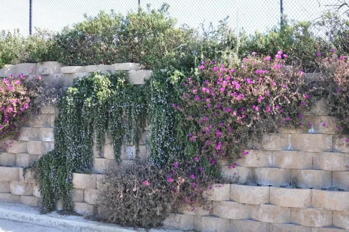 Custom residential landscaping experts serving Temecula, CA - Swydens Professional Lawn Care Service