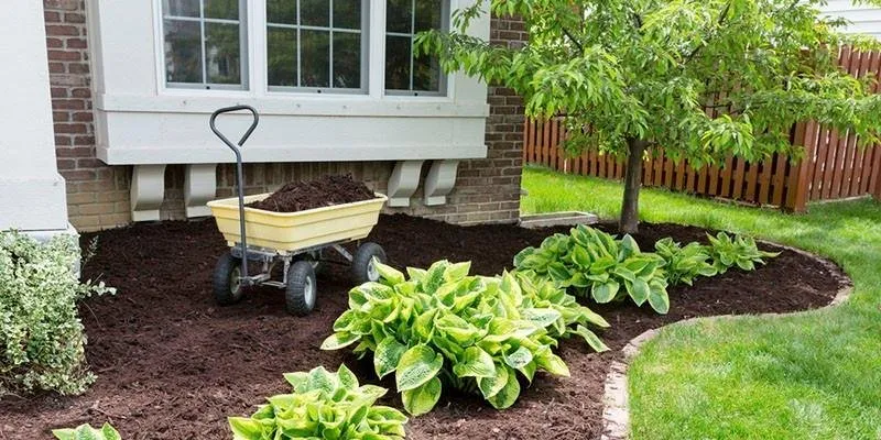 Affordable lawn care service experts serving Pittsburgh, PA - SY Landscaping
