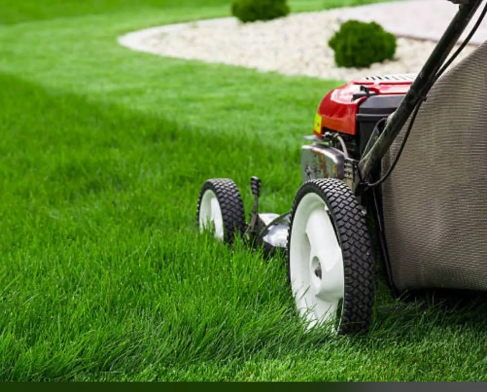 Reliable yard cleanup service in Edgewood, KY by Syax Solutions