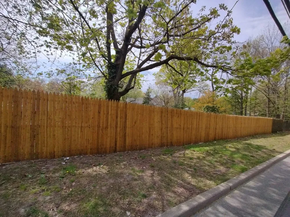 Affordable yard cleanup service in IND HILLSIDE, NJ by SyB solutions