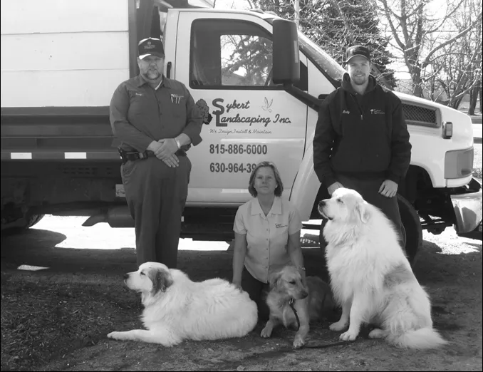 Custom yard cleanup service in Romeoville, IL - Sybert Landscaping