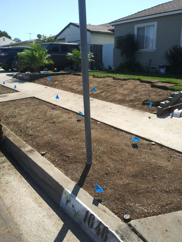 Expert yard cleanup service in Van Nuys, CA by Sycamore Landscape & Sprinklers