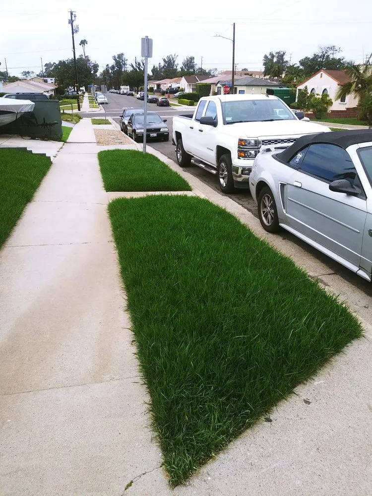 Professional yard maintenance experts serving Van Nuys, CA - Sycamore Landscape & Sprinklers