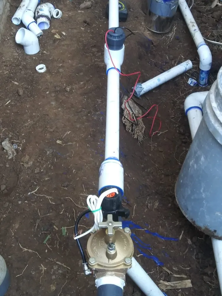 Professional landscape installation experts serving Van Nuys, CA - Sycamore Landscape & Sprinklers