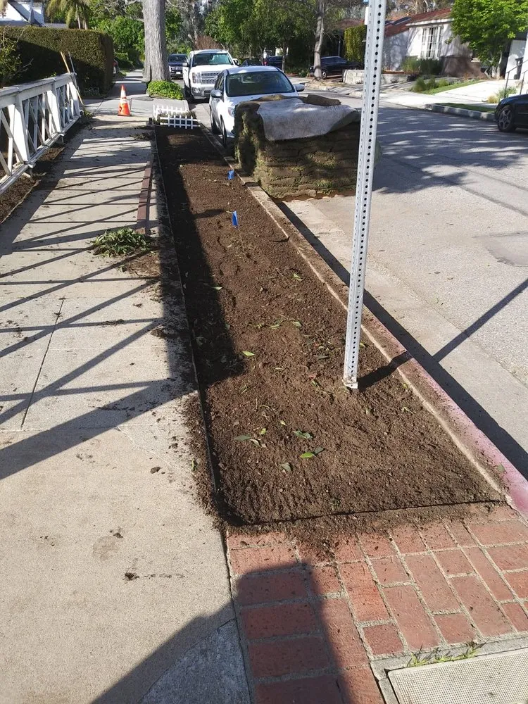 Affordable landscape design near you in Van Nuys, CA by Sycamore Landscape & Sprinklers