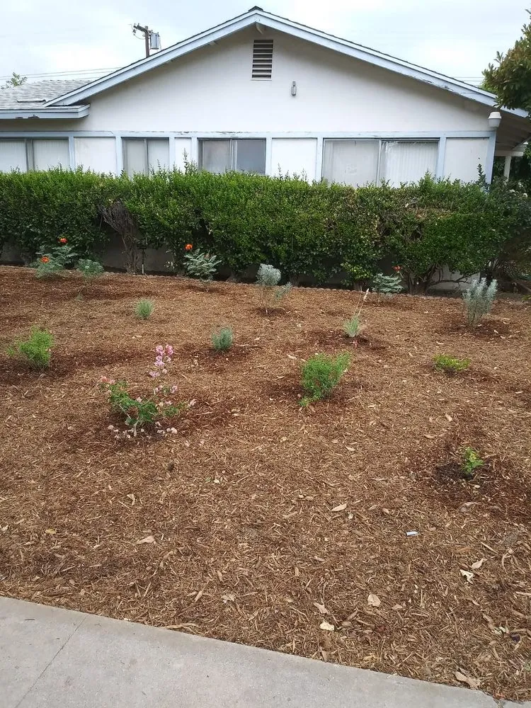 Top-rated lawn care service for homes across Van Nuys, CA - Sycamore Landscape & Sprinklers