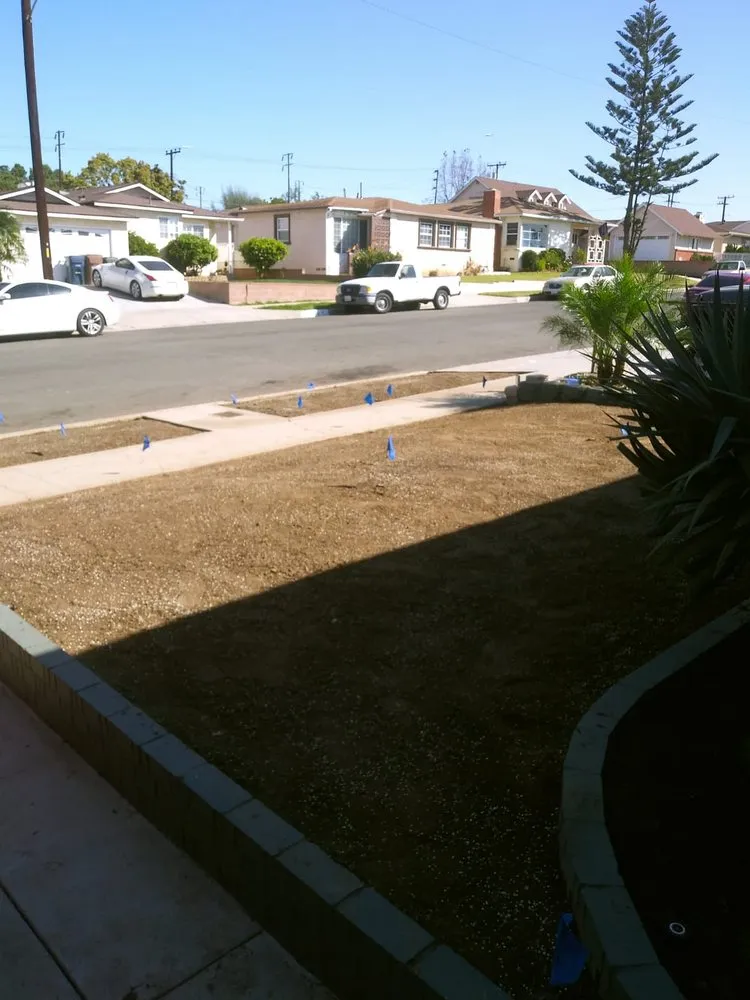 Top-rated landscape installation in Van Nuys, CA - Sycamore Landscape & Sprinklers