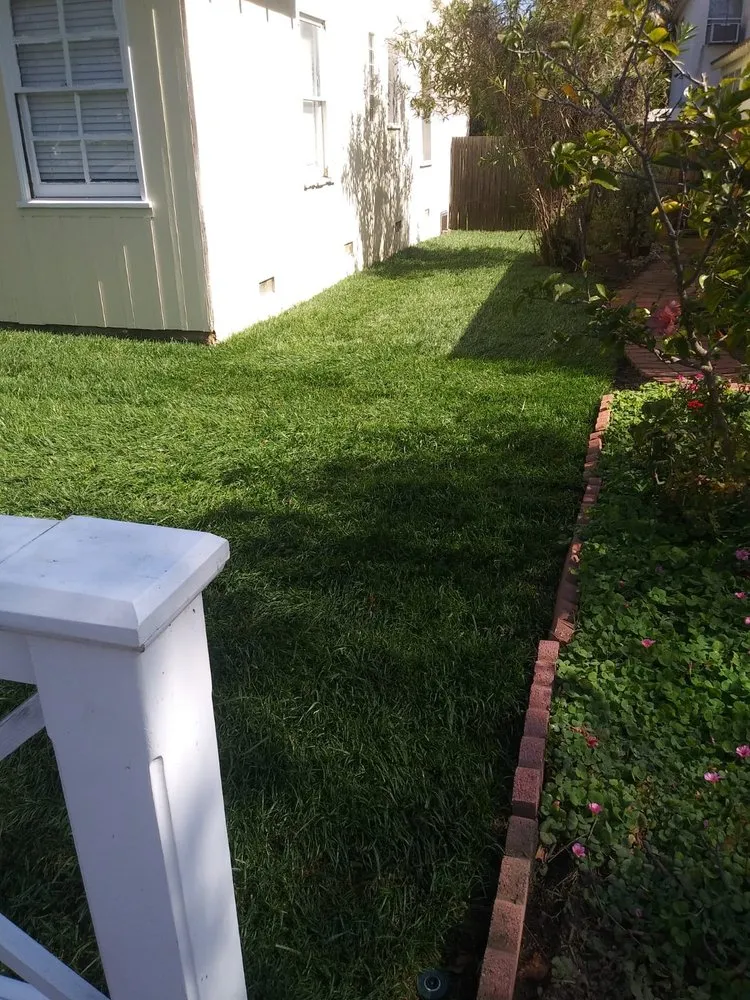 Trusted outdoor landscaping in Van Nuys, CA by Sycamore Landscape & Sprinklers