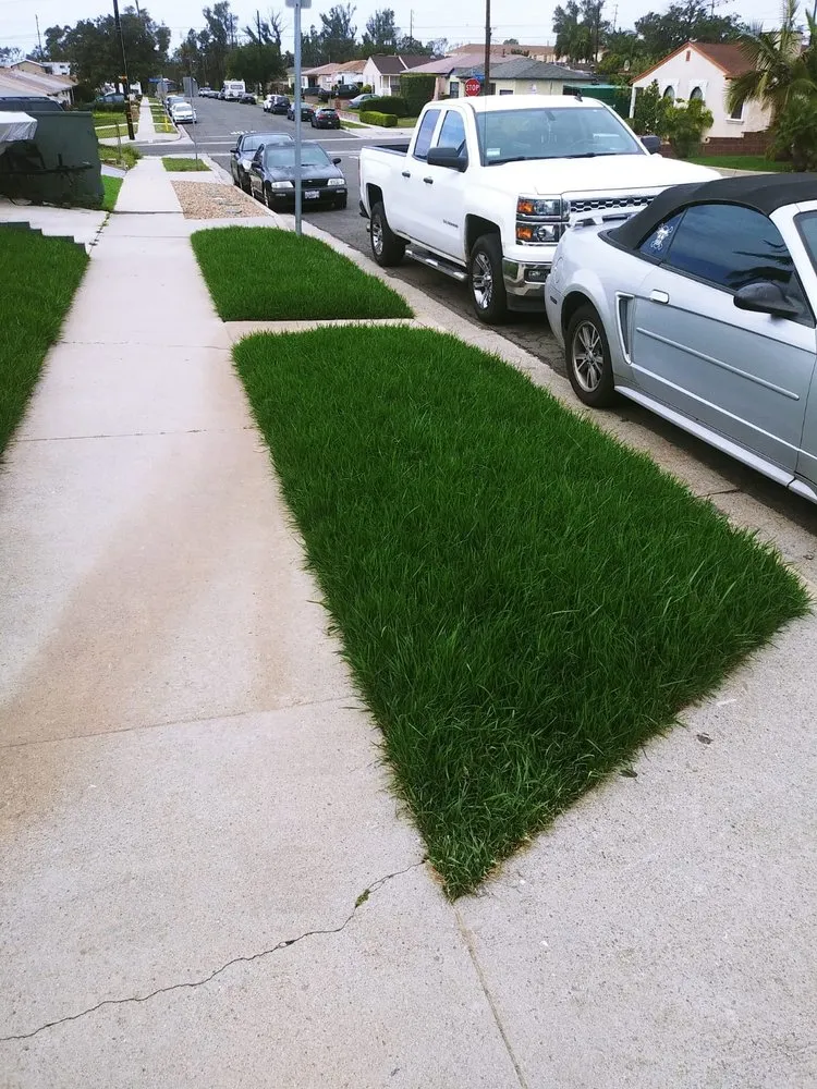 Top-rated yard maintenance in Van Nuys, CA - Sycamore Landscape & Sprinklers