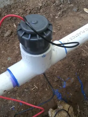 Sycamore Landscape & Sprinklers Logo