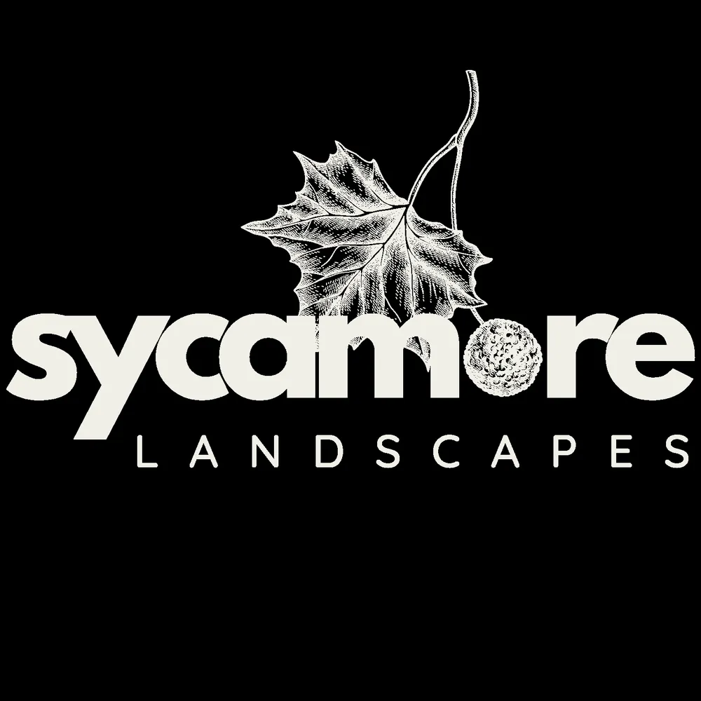 Expert landscape design experts serving Rockville, VA - Sycamore Landscapes